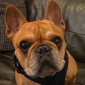 Meet your Posher, Jaime